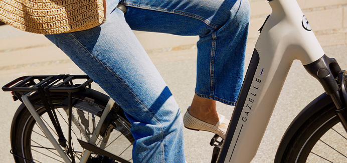 Elektrische fiets Gazelle Grenoble C5 HMB